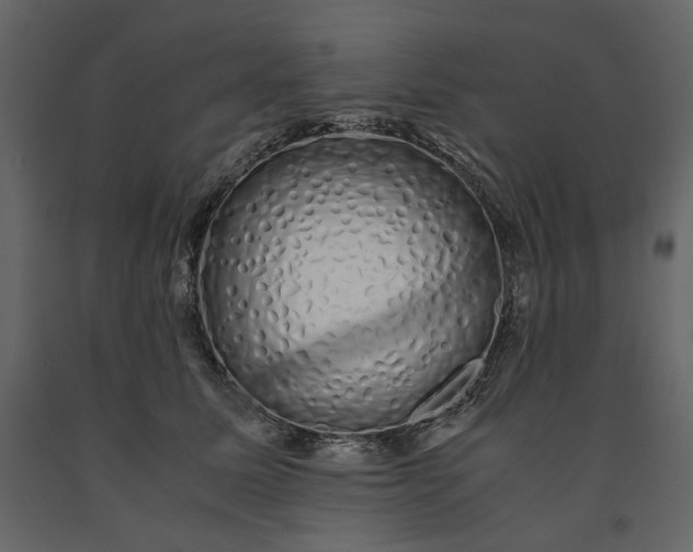 X0000091240611200708231719