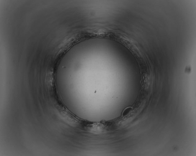 X0000091240612200708231719