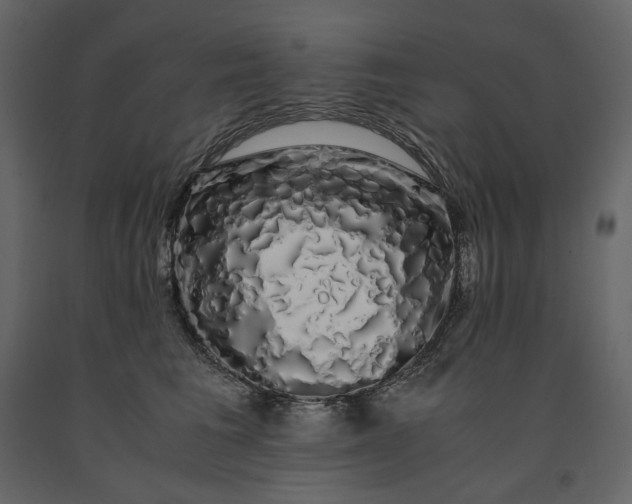 X0000091240613200708231719