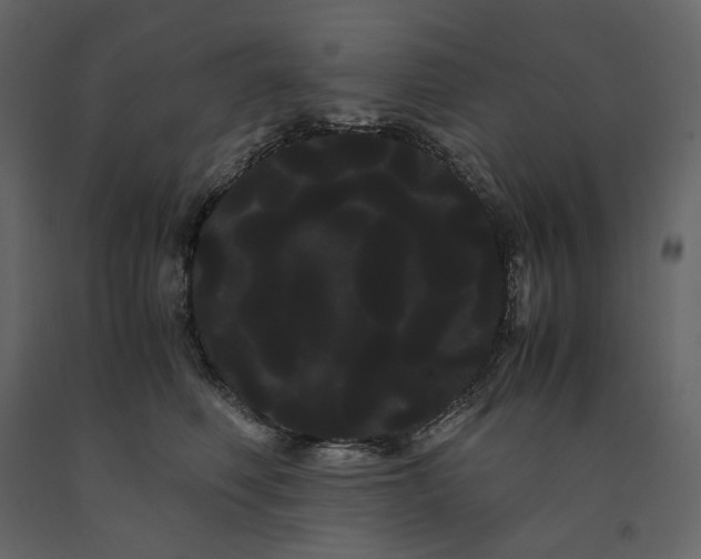 X0000091240614200708231719