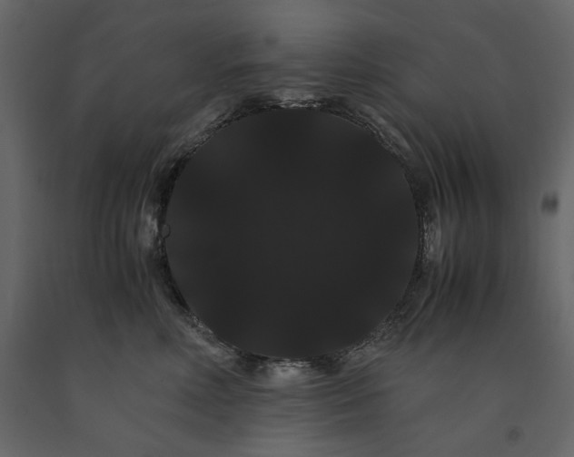 X0000091240618200708231719