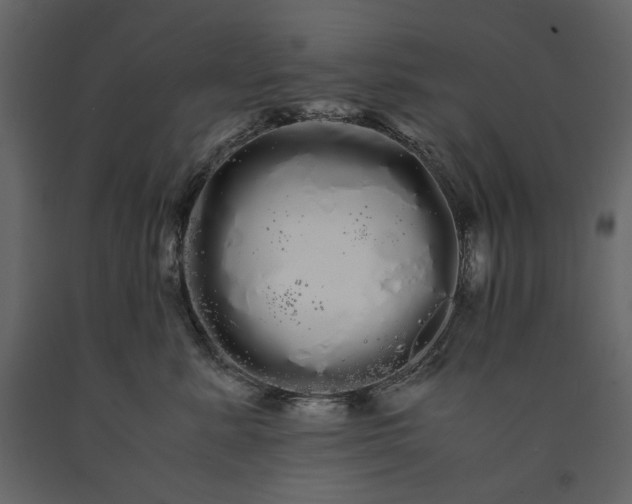 X0000091240619200708231719