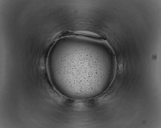 X0000091240620200708231719