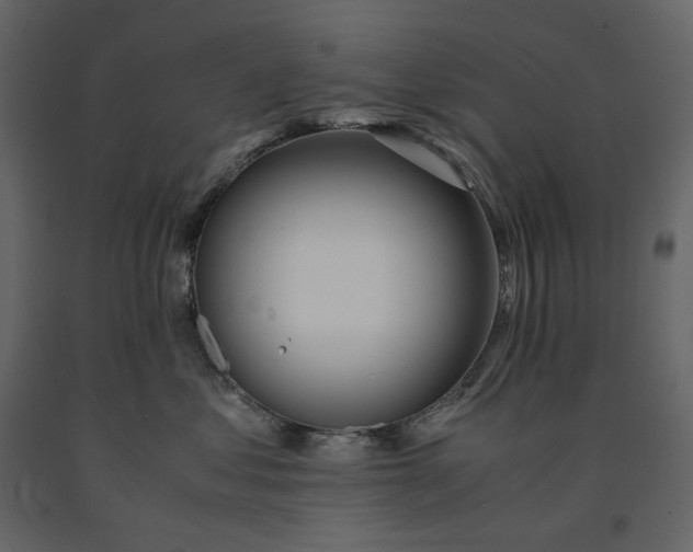 X0000091240621200708231719