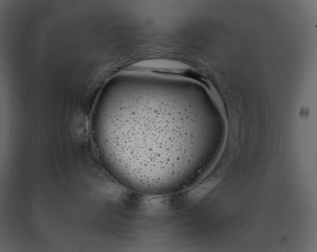 X0000091240624200708231718