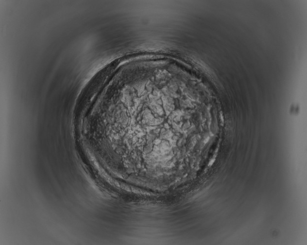 X0000091240626200708231718