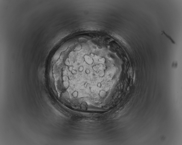 X0000091240627200708231718