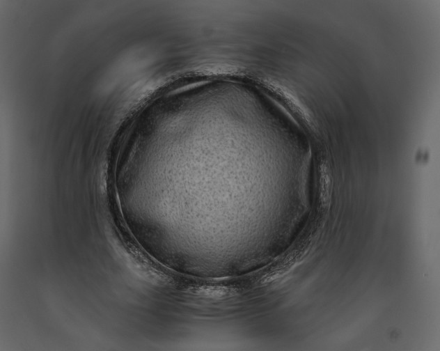 X0000091240631200708231718