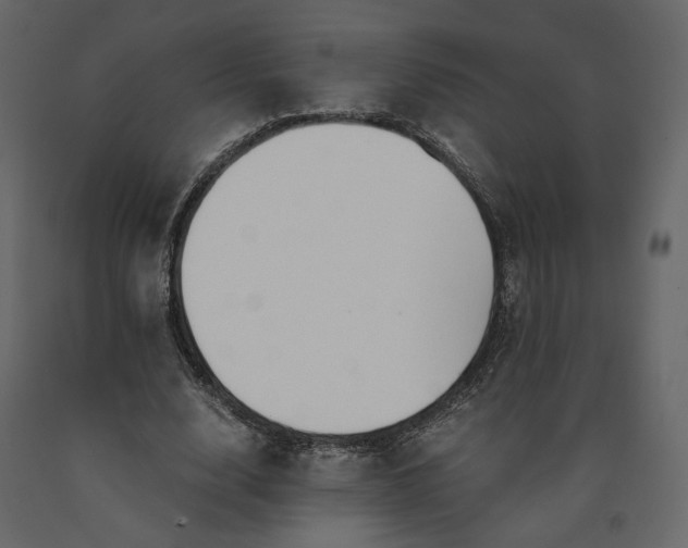 X0000091240632200708231718