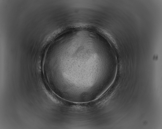 X0000091240633200708231718