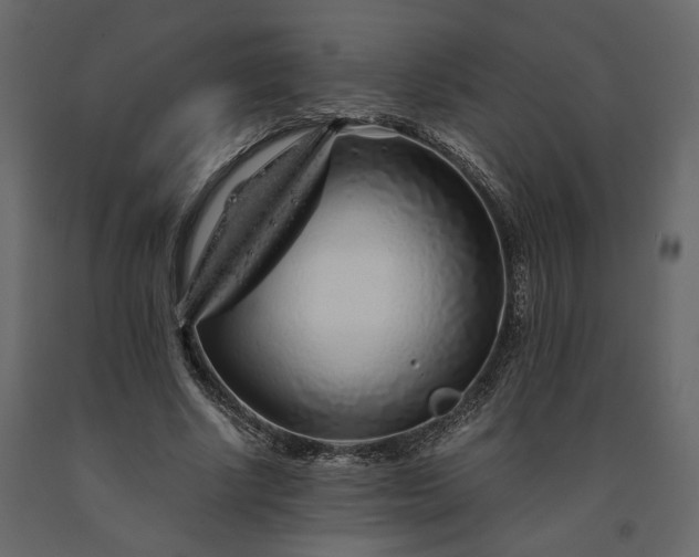 X0000091240634200708231718