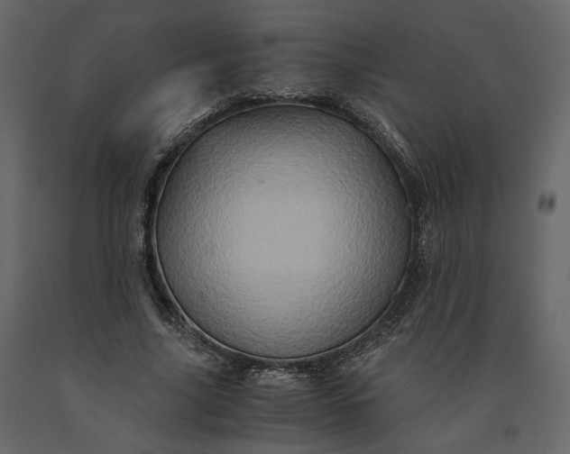X0000091240635200708231718