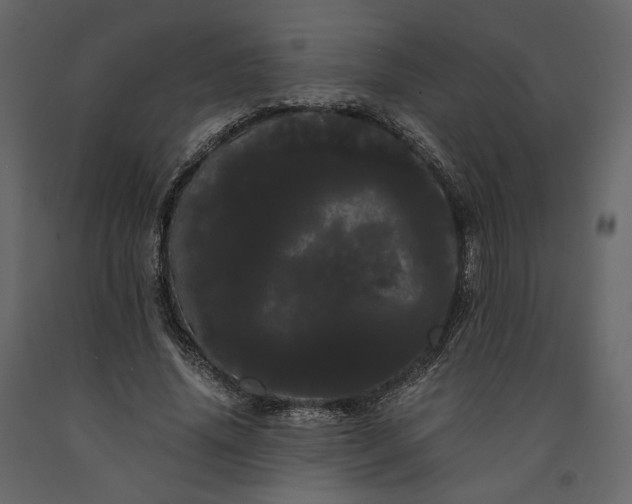 X0000091240636200708231718