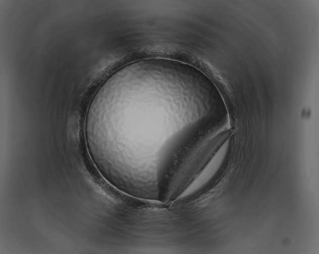 X0000091240637200708231718