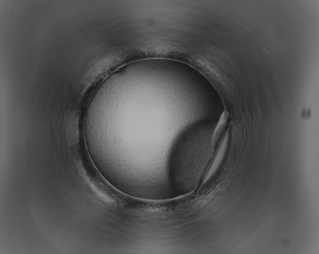 X0000091240638200708231718