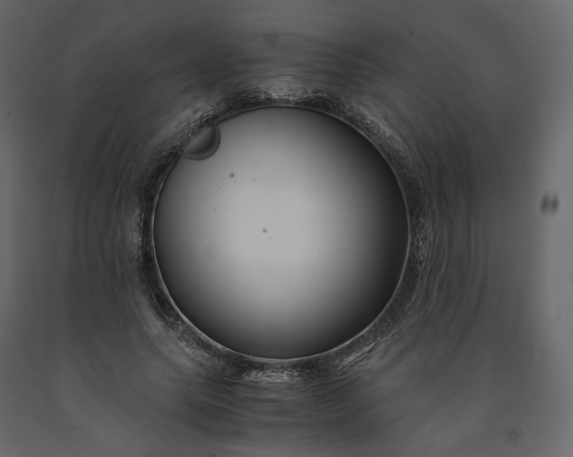 X0000091240639200708231718