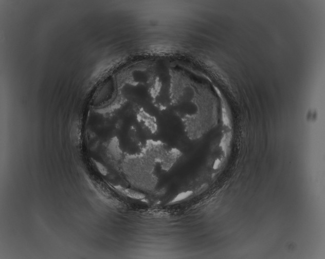 X0000091240640200708231718