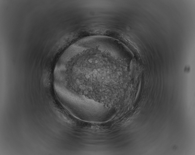 X0000091240641200708231718