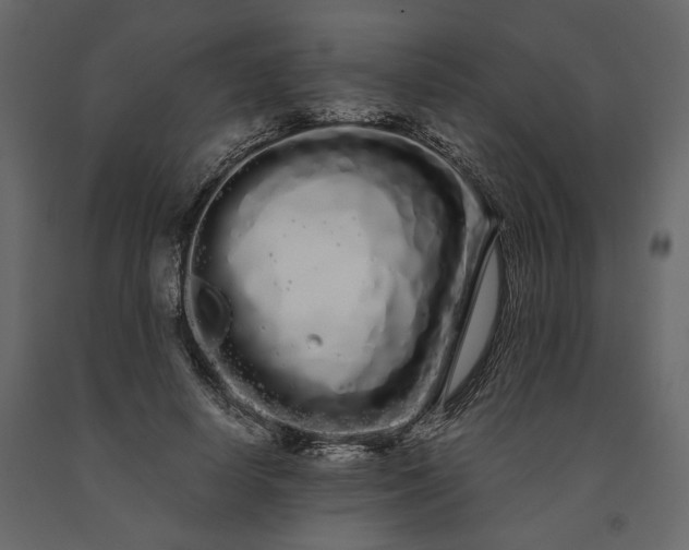 X0000091240642200708231718