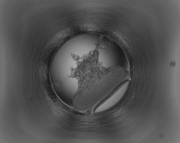 X0000091240643200708231718