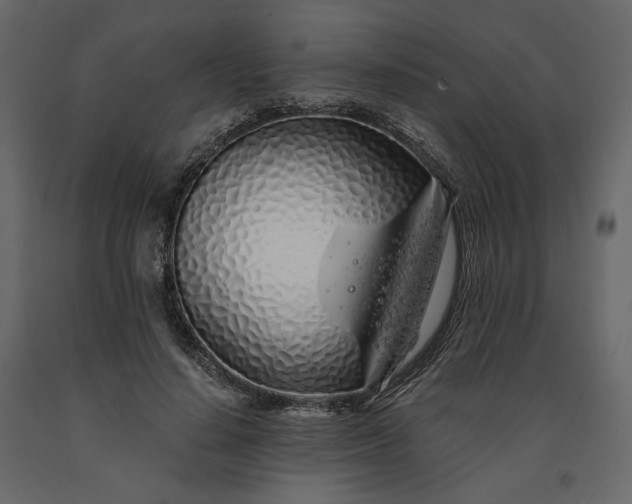 X0000091240644200708231718