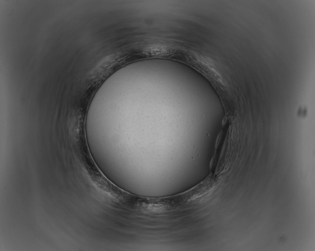 X0000091240645200708231718