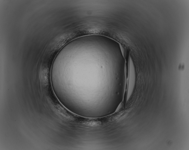 X0000091240646200708231718