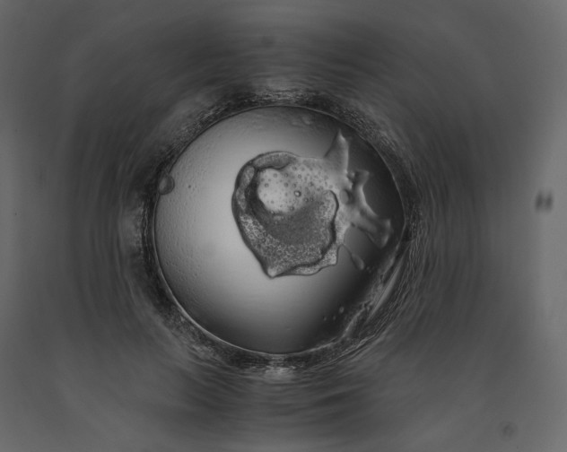 X0000091240647200708231718
