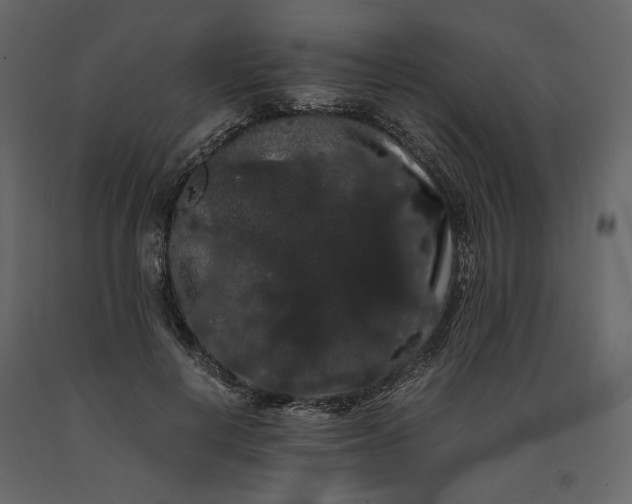X0000091240648200708231718