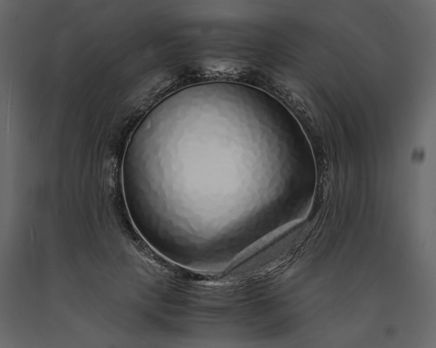 X0000091240649200708231718