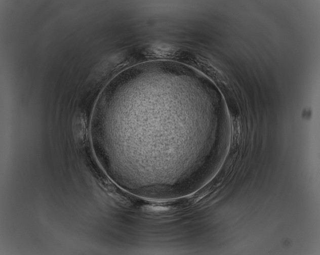 X0000091240651200708231718