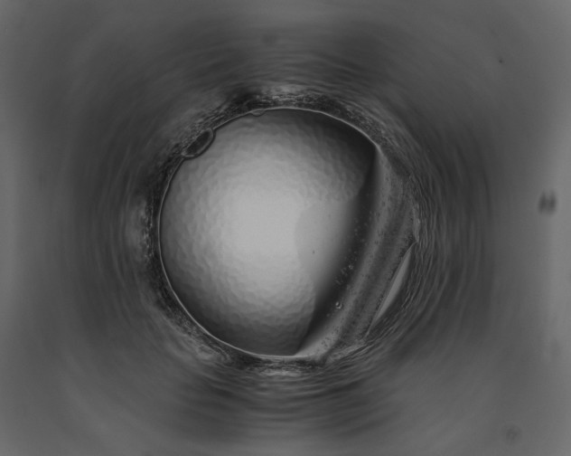 X0000091240653200708231718