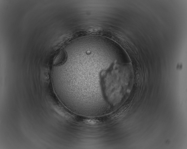 X0000091240654200708231718