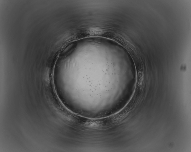X0000091240655200708231718