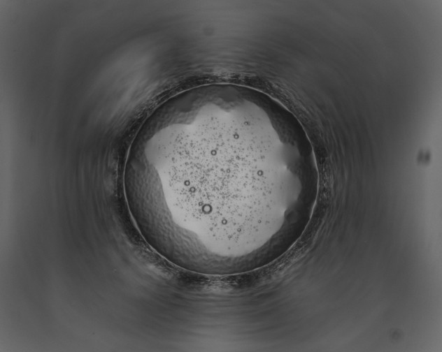X0000091240656200708231718