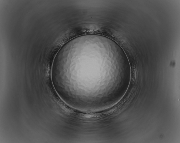 X0000091240657200708231718