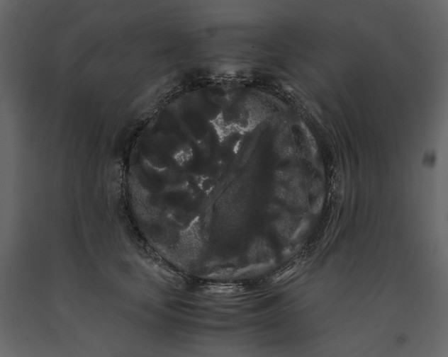 X0000091240659200708231718