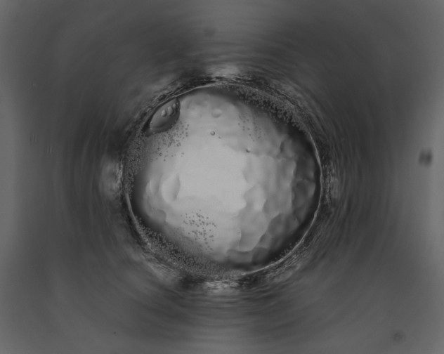 X0000091240660200708231718