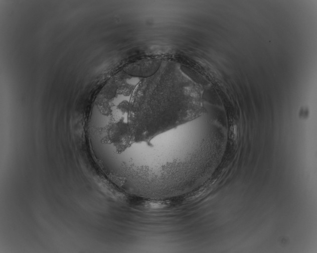 X0000091240662200708231718
