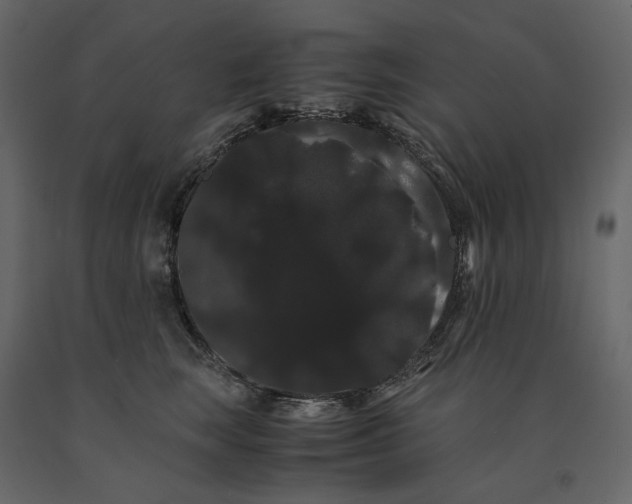 X0000091240663200708231718
