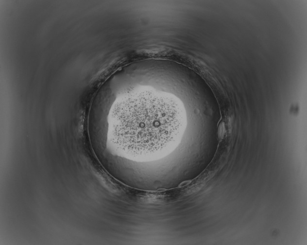 X0000091240664200708231718