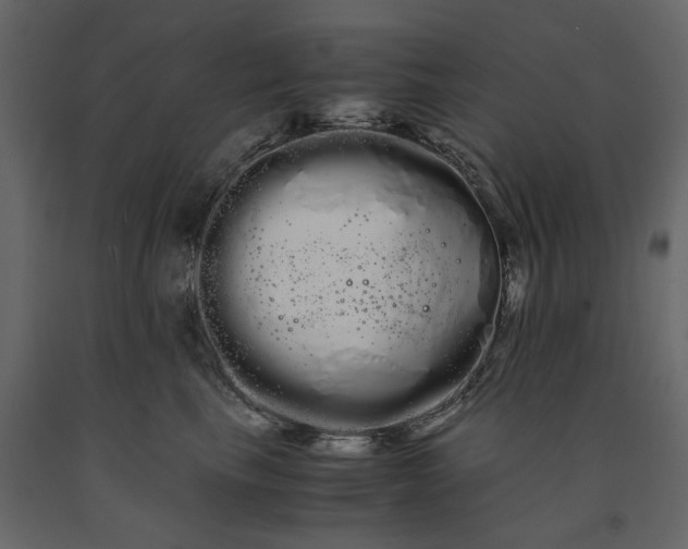 X0000091240665200708231718