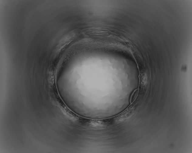 X0000091240666200708231718