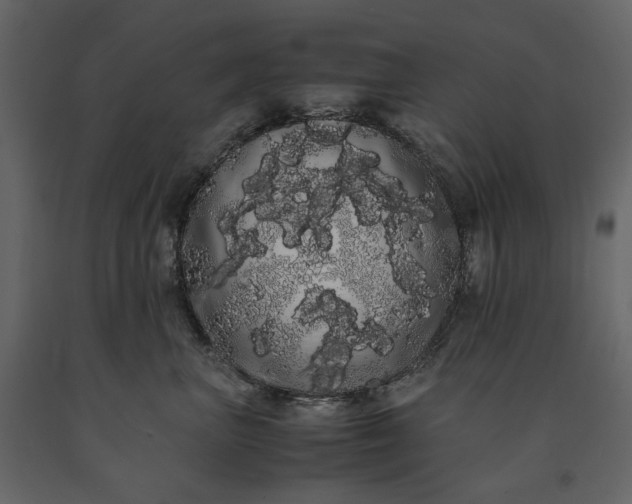X0000091240667200708231718
