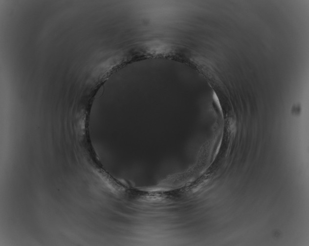 X0000091240668200708231718