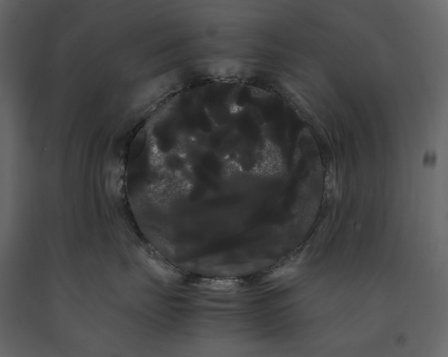 X0000091240671200708231718