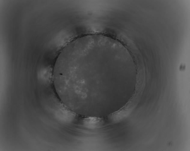 X0000091240672200708231718