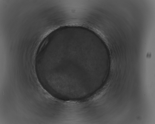 X0000091240673200708231718