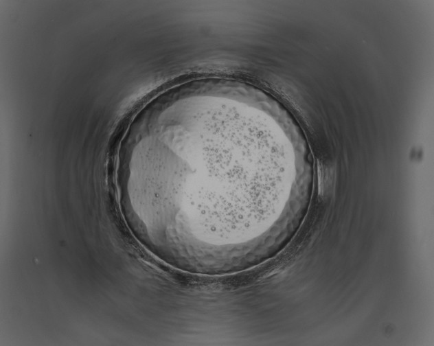 X0000091240675200708231718