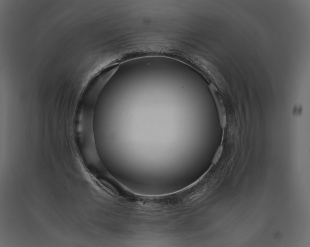 X0000091240677200708231718
